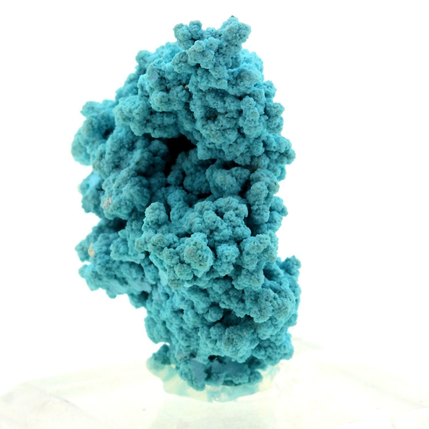 Collection Abijoux Turquoise. 146.0 Carats. en Provenance de Mineral Park Mine, District, Wallapai A