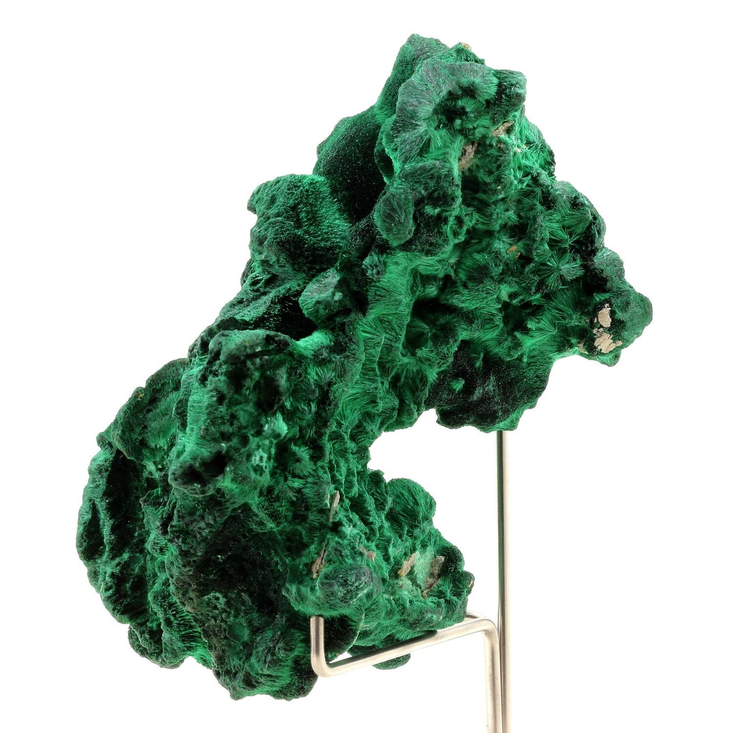 Collection Abijoux Malachite. 1862.5 Carats. en Provenance de L'etoile Du Congo Mine, Lubumbashi, Co