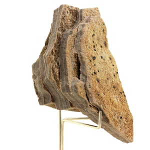 Könnte beinhalten: Geschichtetes, hellbraunes Gestein mit dunklen Sprenkeln, präsentiert auf einem goldfarbenen Metallständer. Der Stein hat eine raue, strukturierte Oberfläche und eine einzigartige, natürliche Form. Der Ständer bietet eine elegante Präsentation.