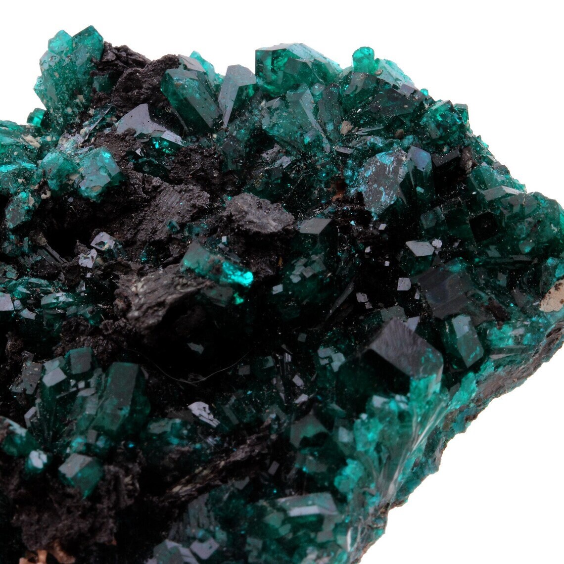 Collection Abijoux Dioptase. 387.0 Carats. Pimbi Hill, Mindouli, Congo
