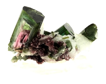 Op de afbeelding: Een cluster van groene, roze en witte toermalijnkristallen op een witte achtergrond. De kristallen zijn in een cluster gerangschikt, met het grootste kristal in het midden. De kristallen zijn doorschijnend en hebben een glazige glans.