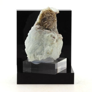 Op de afbeelding: Lichtblauw en bruin mineraal specimen met een roset-achtige formatie, gemonteerd op een zwarte acryl displaystandaard. Het mineraal heeft een kristallijne structuur. Witte achtergrond.