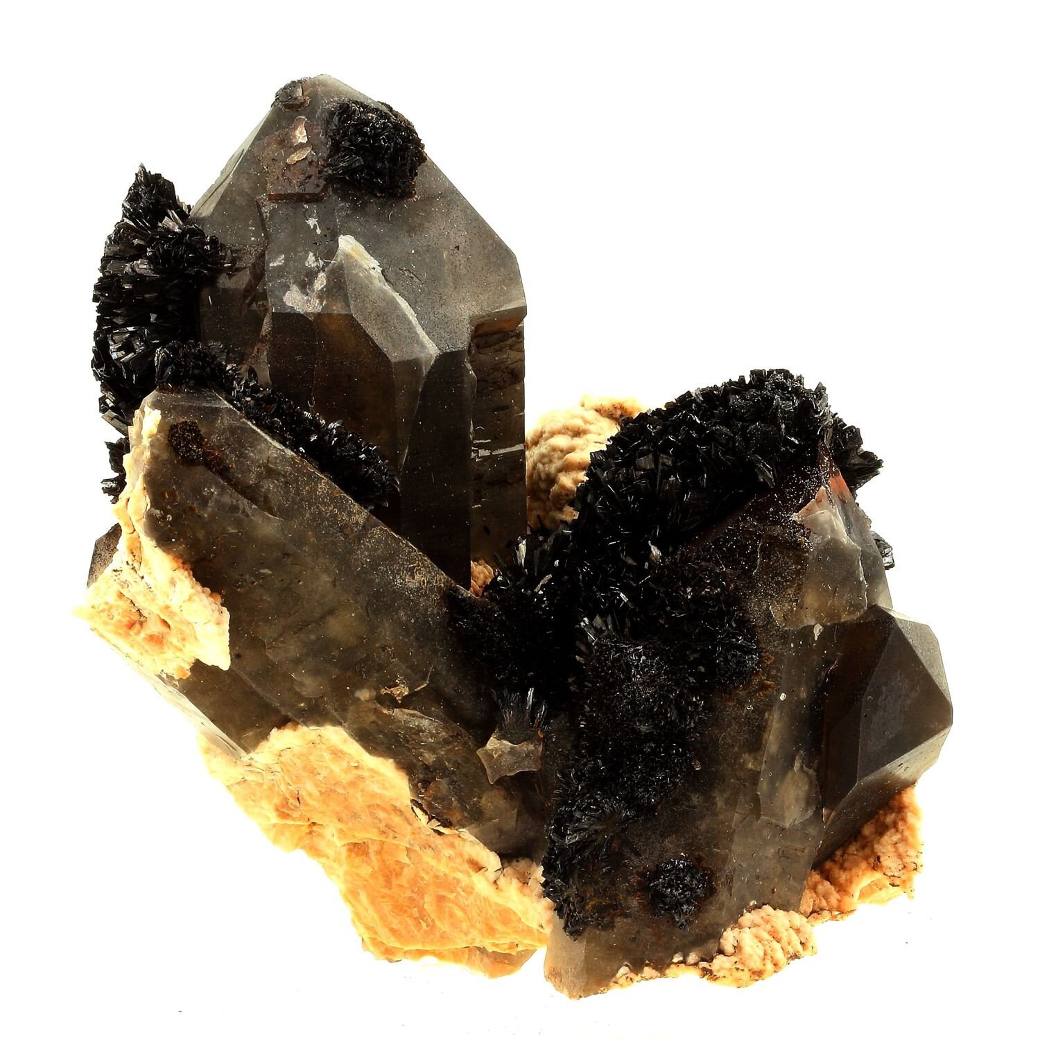 Collection Abijoux Goethite, Quartz Fumé. 5628.0 Carats. en Provenance de Lakeview Load Claim, Park