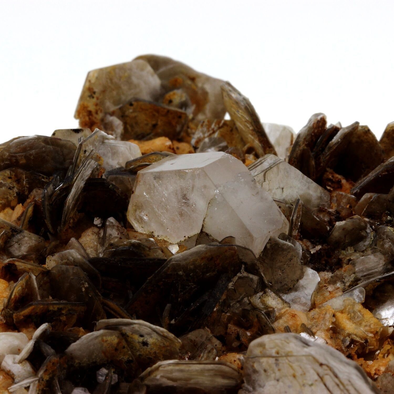 Collection Abijoux Apatite + Lepidolite. 1785.0 Carats. en Provenance Du Pakistan