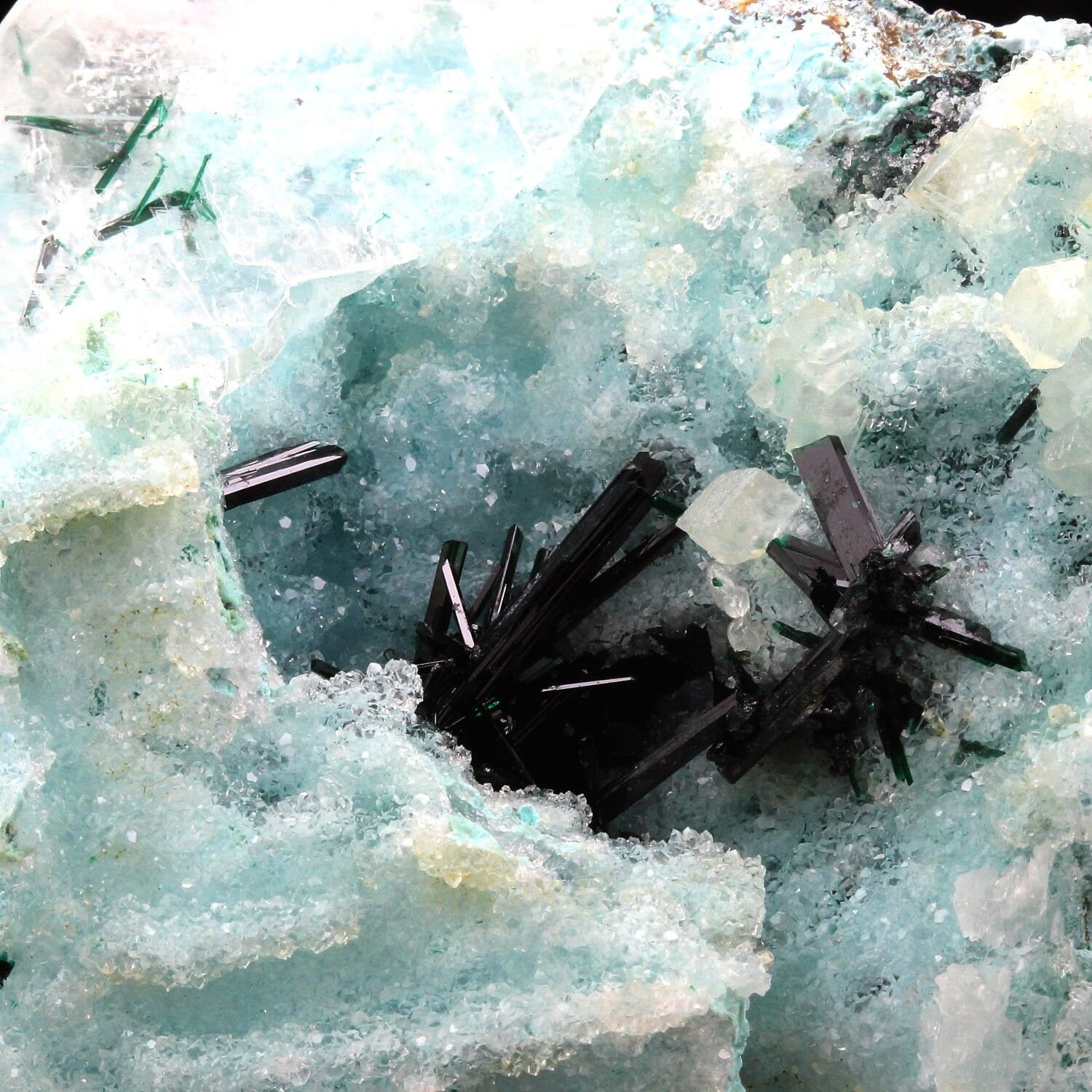 Collection Abijoux Atacamite, Gypse, Chrysocolle. 1308.0 Carats. en Provenance de Lily Mine, Pisco U