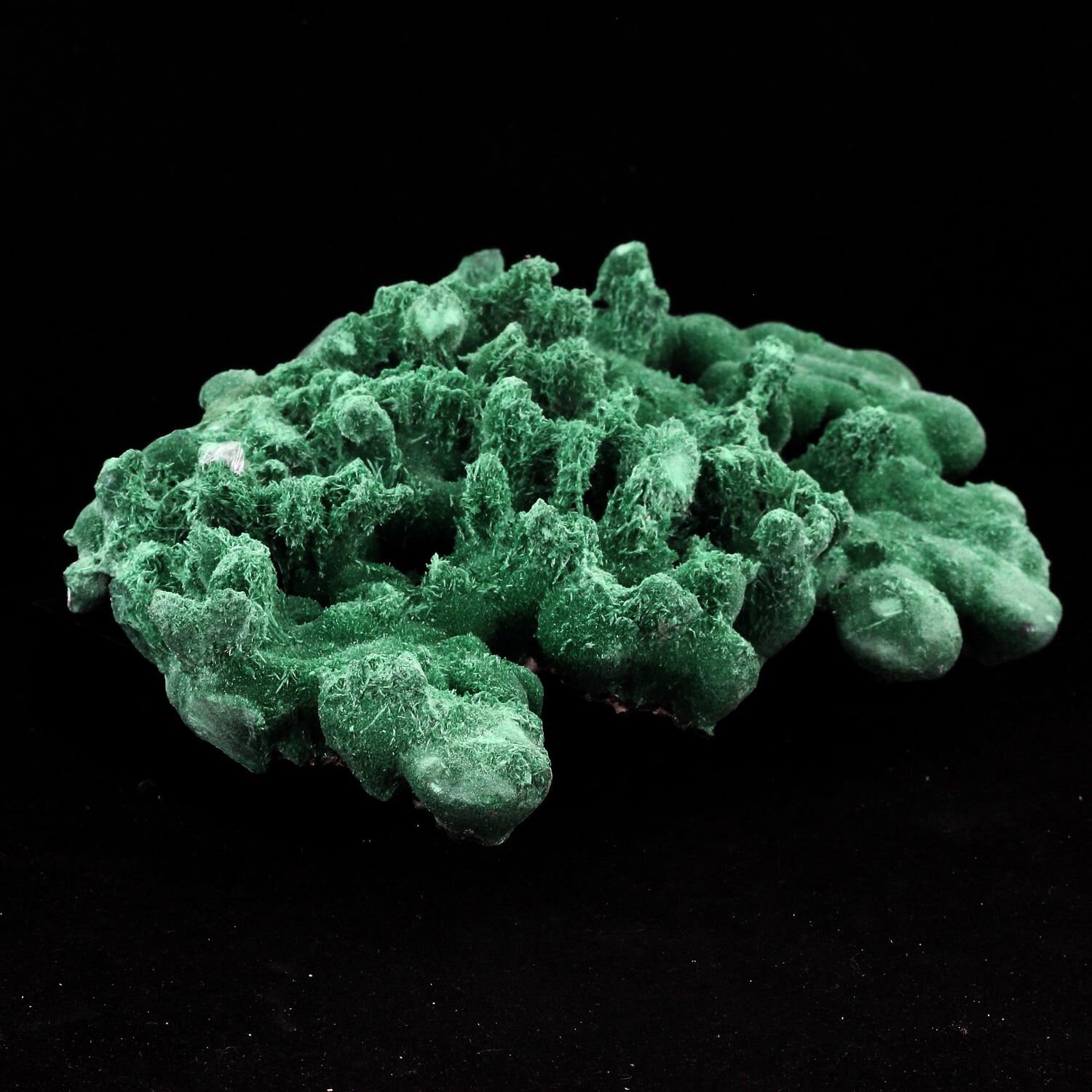 Collection Abijoux Malachite. 2537.0 Carats. en Provenance de Milpillas Mine, Sonora, Mexique