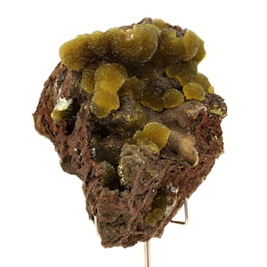 May include: A mineral specimen with a dark reddish-brown matrix and clusters of yellow-green, rounded formations. The mineral has a rough, textured surface and is mounted on a thin metal stand. The specimen is a natural geological formation.