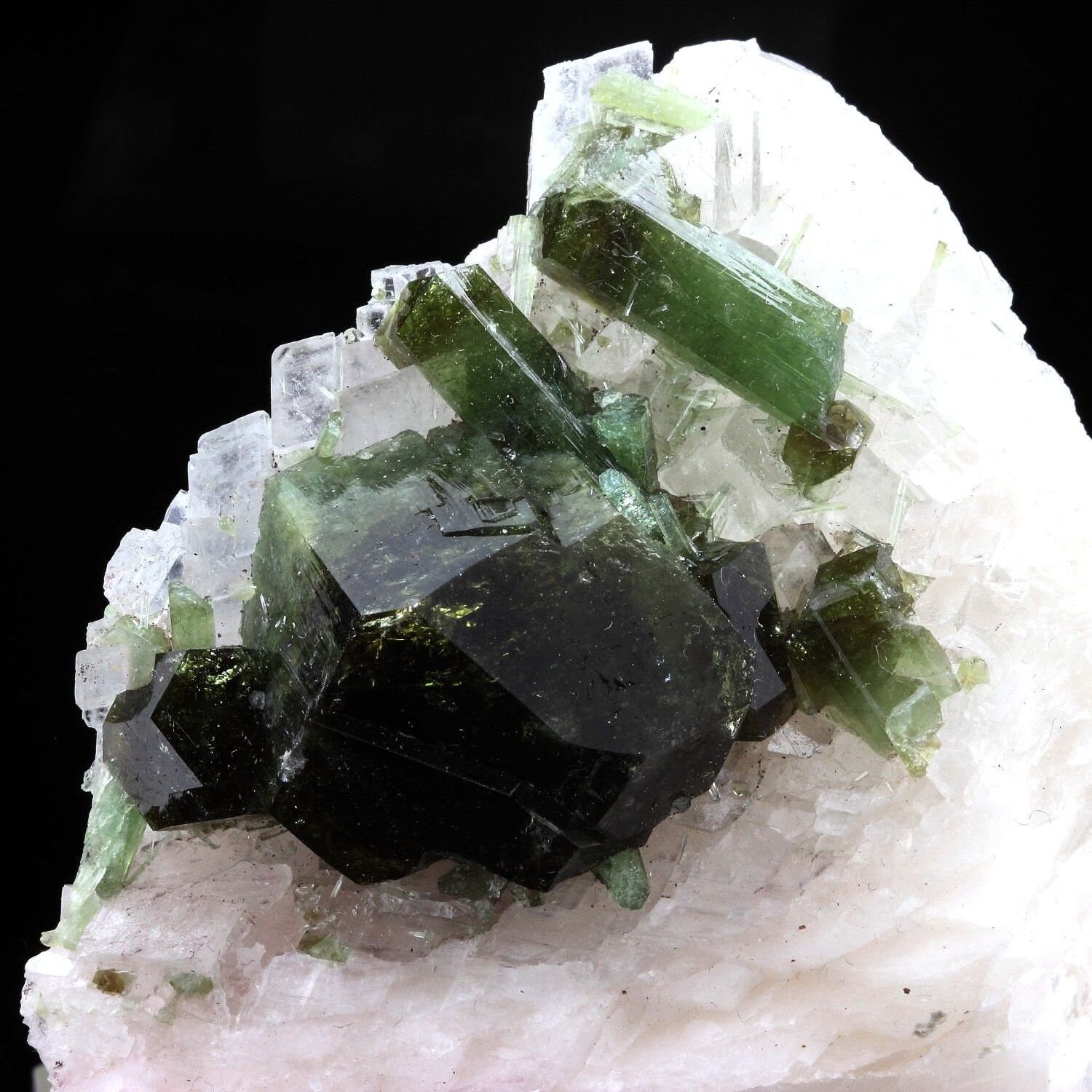 Collection Abijoux Tourmaline Dravite. 979.0 Carats. en Provenance de Brumado | Bom Jesus Dos Meiras