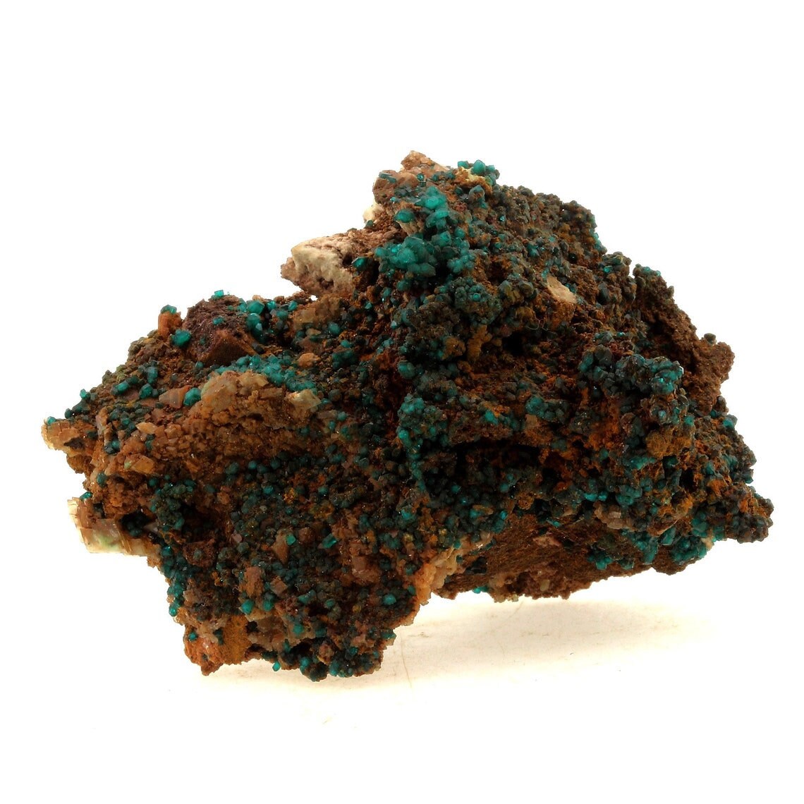 Collection Abijoux Dioptase. 318.0 Carats. Tsumeb, Otjikoto Region, Namibie