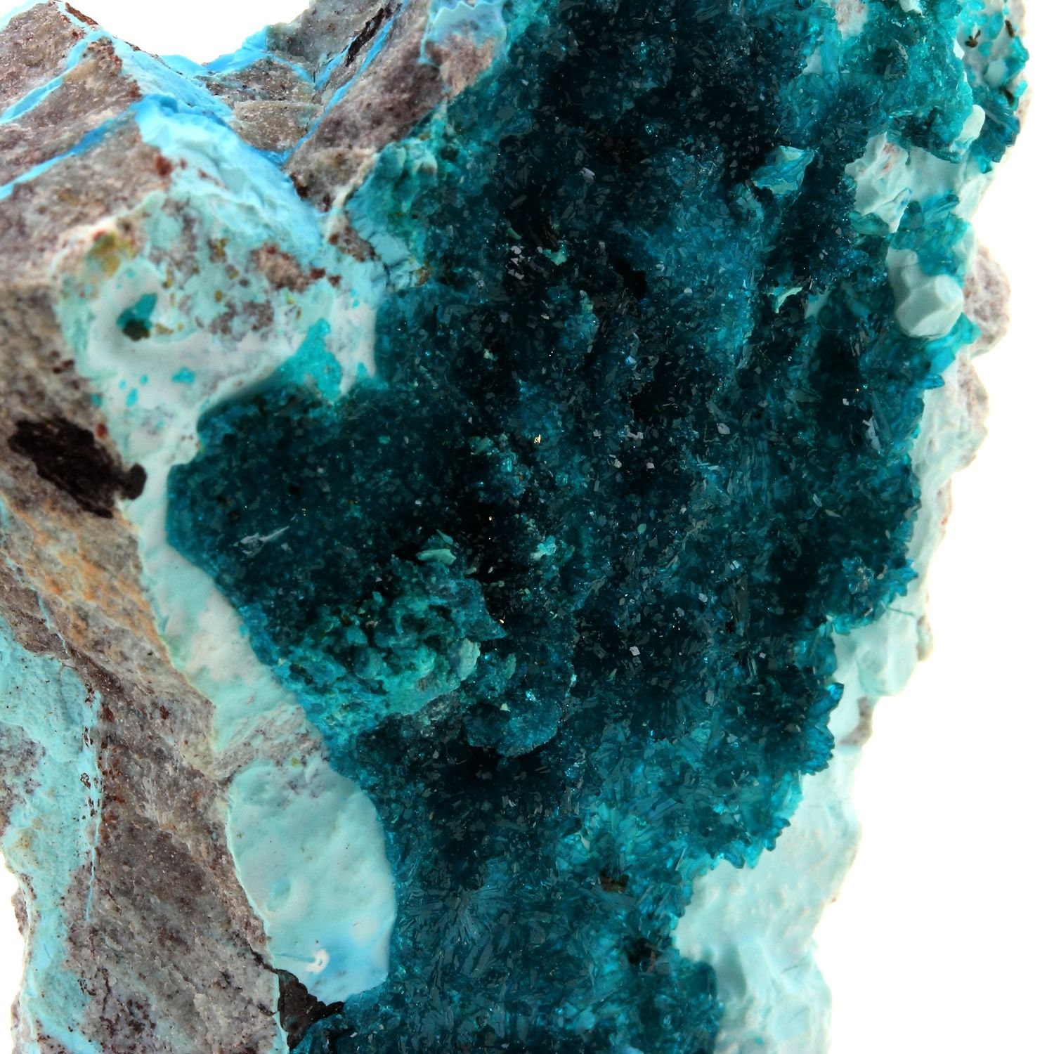 Collection Abijoux Dioptase. 607.5 Carats. en Provenance de Milpillas Mine, Cuitaca, Santa Cruz Muni