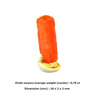 Krokoit aus der Mine von Adelaide, Tasmanien, Australien (verschiedene Gewichtsklassen verfügbar)