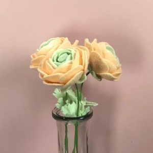 Peach ranunculus stem