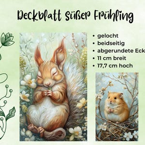 Könnte beinhalten: Eine digitale Illustration eines Eichhörnchens mit geschlossenen Augen, das eine Blume in seinen Pfoten hält, umgeben von weißen Blumen und grünen Blättern. Der Text "Deckblatt süßer Frühling" befindet sich oben im Bild. Der Text unter dem Bild lautet: "gelocht, beidseitig, abgerundete Ecken, 11 cm breit, 17,7 cm hoch".