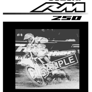 Suzuki RM 250 Service Manual 229 pages