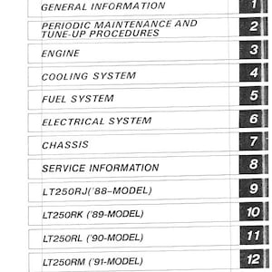 Suzuki LT 250 R 1988 1992 Service Manual 246 pages