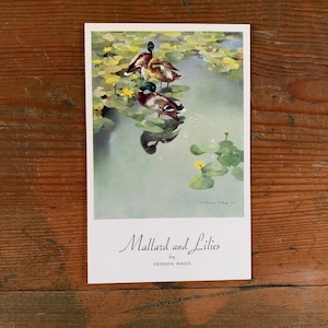 Carte postale vintage de colvert et de lys. Carte postale des années 50 non utilisée représentant des canards colverts sur un étang aux nénuphars par Vernon Ward. 'Wild Fowl' de Valentine Sons. PC164