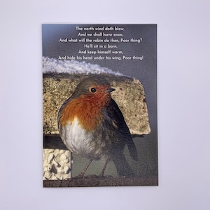 Carte poème Robin. La carte poème du vent du nord. Carte photographique Winter Robin.  Carte de poésie d'hiver. 7 x 5 pouces. Blanc à l'intérieur. Imprimé au Royaume-Uni