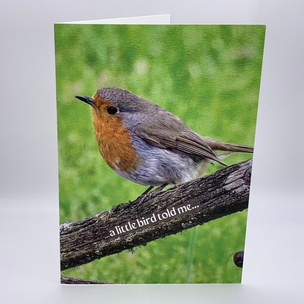 A Little Bird Told Me It's Your Birthday! Robin Birthday Card. Robin Redbreast Birthday Card.  Garden Birds Birthday Card - 7x5 inches