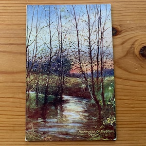 Primeln auf dem Plym. Devon Antike Postkarte. Fluss Plym im Frühling. Primeln Art. G H JENKINS JNR Künstler. Raphael Tuck & Söhne um 1910. PC277