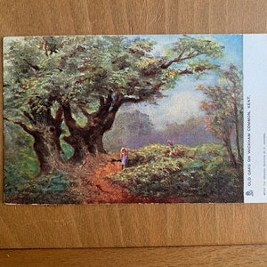 Carte postale antique de vieux chênes sur Wickham Common. Johnson Johnson. Raphael Tuck Oilette série 1532 « Angleterre pittoresque ». Carte postale ancienne du Kent PC107