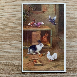 Vintage briefkaart konijntjes en duiven. J Salmon Ltd 1957 briefkaart. Edgar Hunt. Kunstpostkaart met duiven en konijnen. Gesigneerd E Hunt. PC137