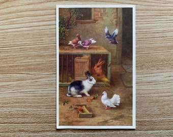 Bunnies and Doves Vintage Postcard. J Salmon Ltd 1957 Postcard. Edgar Hunt Pigeons Painting Art Postcard. Signed E Hunt. Rural Postcard.