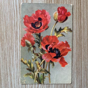 Antike Mohnblumen Postkarte c1906. Rote Mohnblumen Vintage Postkarte. Tucks Poppy Postkarte. Raphael Tuck and Sons 9241 MOHN. PC321