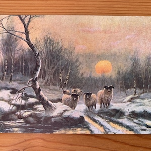Schaf im Schnee Antike Postkarte. C W Faulkner um 1900. 'Winterabend'. Sonnenuntergang im viktorianischen Winter. Alte Winter Postkarte.PC201
