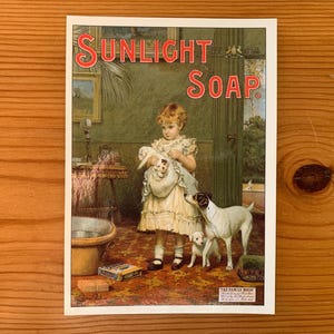 Sunlight Seifenreproduktion Postkarte. Jack Russell Welpen Bade Zeit. Robert Opie Kollektion. Hebel Gebrüder. PC207. um 1980.