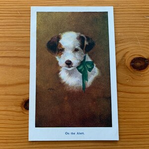 Süßer Welpe, antike Postkarte. „In Alarmbereitschaft“. Braun und Weiss Welpe mit grüner Schleife. Welpe Vintage Postkarte. C W Faulkener um 1910. PC261