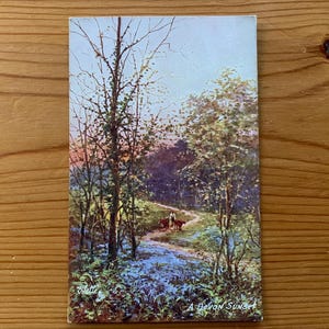 Bluebell Wood, Devon. Carte postale ancienne du Devon. jacinthe des bois vintage. Un coucher de soleil dans le Devon. G H JENKINS Artiste JNR. Raphael Tuck & Sons c1919. PC271