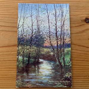 Primeln auf dem Plym. Devon Antike Postkarte. Fluss Plym im Frühling. Primeln Art. G H JENKINS JNR Künstler. Raphael Tuck & Söhne um 1910. PC278