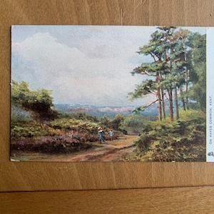 Sur une carte postale ancienne Hayes Common Kent. Johnson Johnson. Raphael Tuck Oilette « Pittoresque Angleterre » série 1532. Carte postale rurale ancienne. PC106