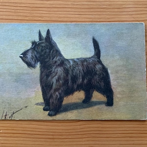 Scotch Terrier Antike Postkarte. Schwarzer Scottie Hund Vintage Postkarte. Schwarze Scottish Terrier Postkarte. Schweizer Postkartenverlag Stehli. PC261