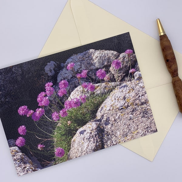 Sea Thrift Card.  A Photographic Card of Pink Beach Rock Flowers in the Scottish Hebrides. Scottish Islands Nature Photo Card. 7x5 inches