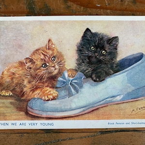 Vintage ansichtkaart Mabel Gear: 'When We Are Very Young'. Zwart Perzisch kitten en kortharig kitten. Perzische katten. J zalm uit de jaren 50. PC77
