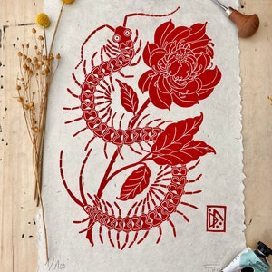 Centipede | original linocut | handmade linoprint | limited edition | peony | A3 size