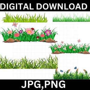 Watercolor Grass Clipart\ spring tufts of grass botanical PNG format instant download for commercial use