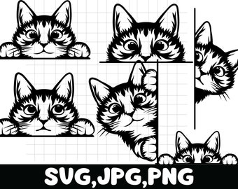 Pacchetto SVG di gatto che sbircia, clipart di gattino (PNG, JPG)