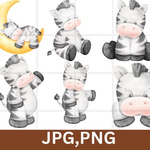Cute Little Baby Zebra\ Watercolor Clipart\ Jungle Animal Baby Shower Png\ Baby Zebra Clip Art\ Commercial Use Safari Clipart\ Cute Animals
