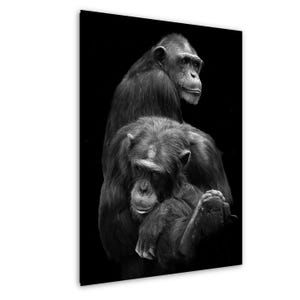 Ritratto di 2 scimpanzé / Fotografia artistica di animali in bianco e nero / Arte murale di animali selvatici / Stampa minimalista piena di sentimento / Ritratto naturalistico