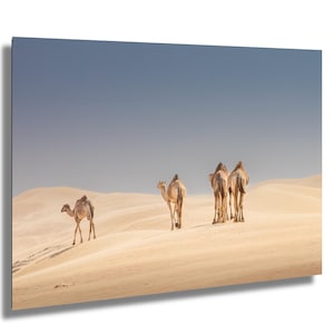 Viaggio tra le dune / Fotografia di una carovana di cammelli nel deserto di Dubai / Stampa artistica di animali selvatici / Arte murale minimalista ispirata alla natura / Decorazioni per la libertà