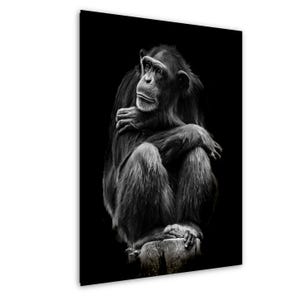 Ritratto di uno scimpanzé / Fotografia artistica di animali in bianco e nero / Arte murale di animali selvatici / Stampa minimalista piena di sentimento / Decorazione naturalistica