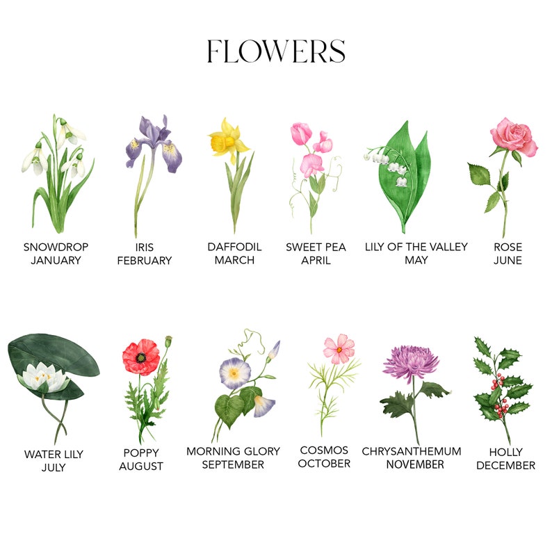 Custom Birth Flower Print Flower of the Month Print Etsy