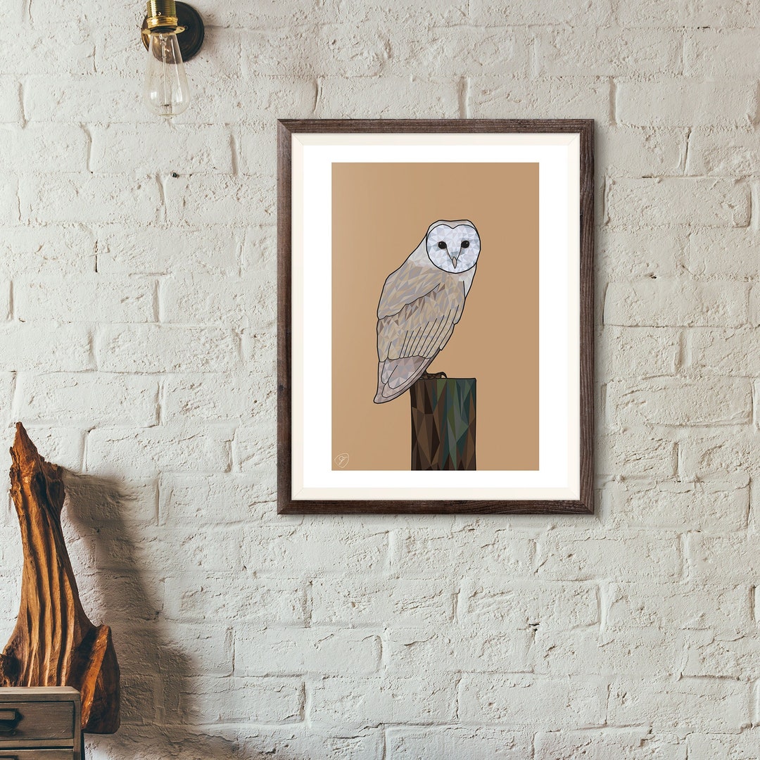 Barn Owl Art Print - Birds of Prey Artwork - Etsy