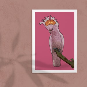 Pink Cockatoo Print - Tropical Artwork - Jungle Birds