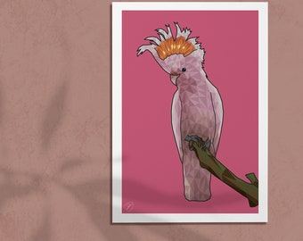 Pink Cockatoo Print - Tropical Artwork - Jungle Birds