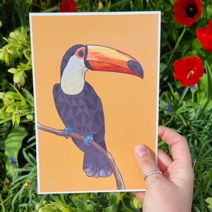 Tropischer Vogel A5 Postkarten - 5er Set - Original Digital Artwork