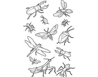 Bug Coloring Page / Bugs and Insects Printable / Digital Download / Cute Bugs Art Activity