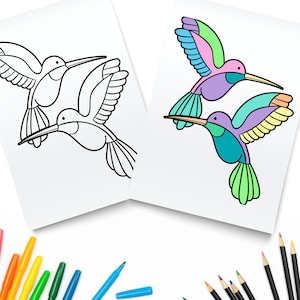 Druckbare Kolibri Entspannende Kunst Seiten / Digital Download / Vögel Ausmalbilder